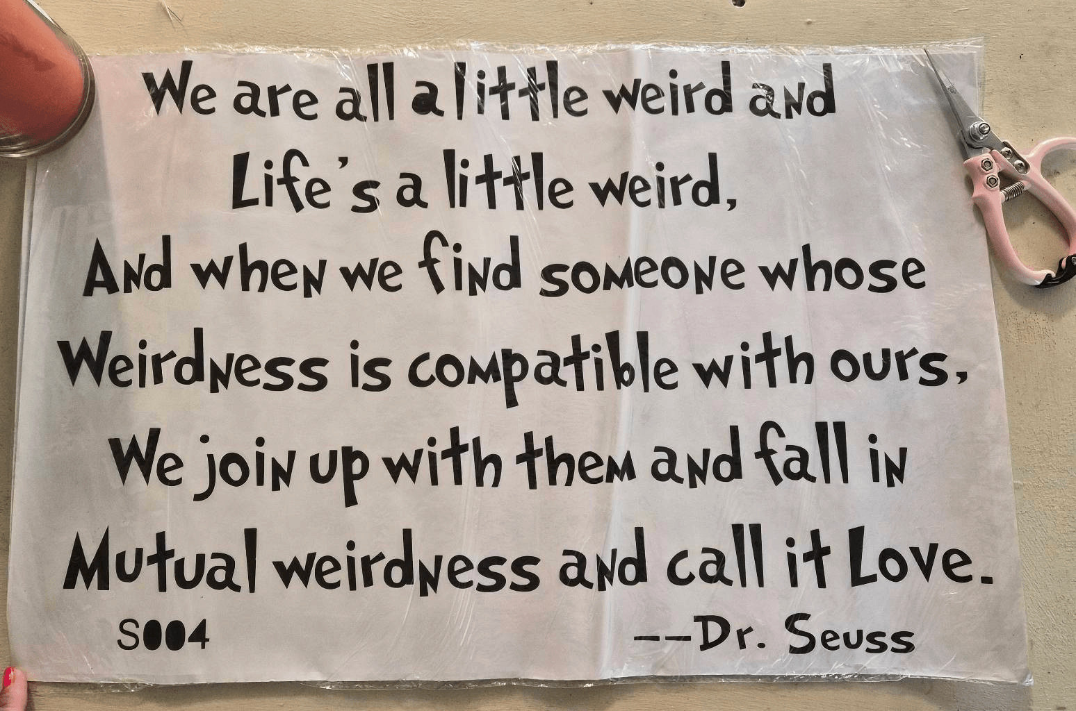 NWT Dr Seuss Vinyl Decal: We Are All A Little Wierd, Fall in Love Newlyweds Gift