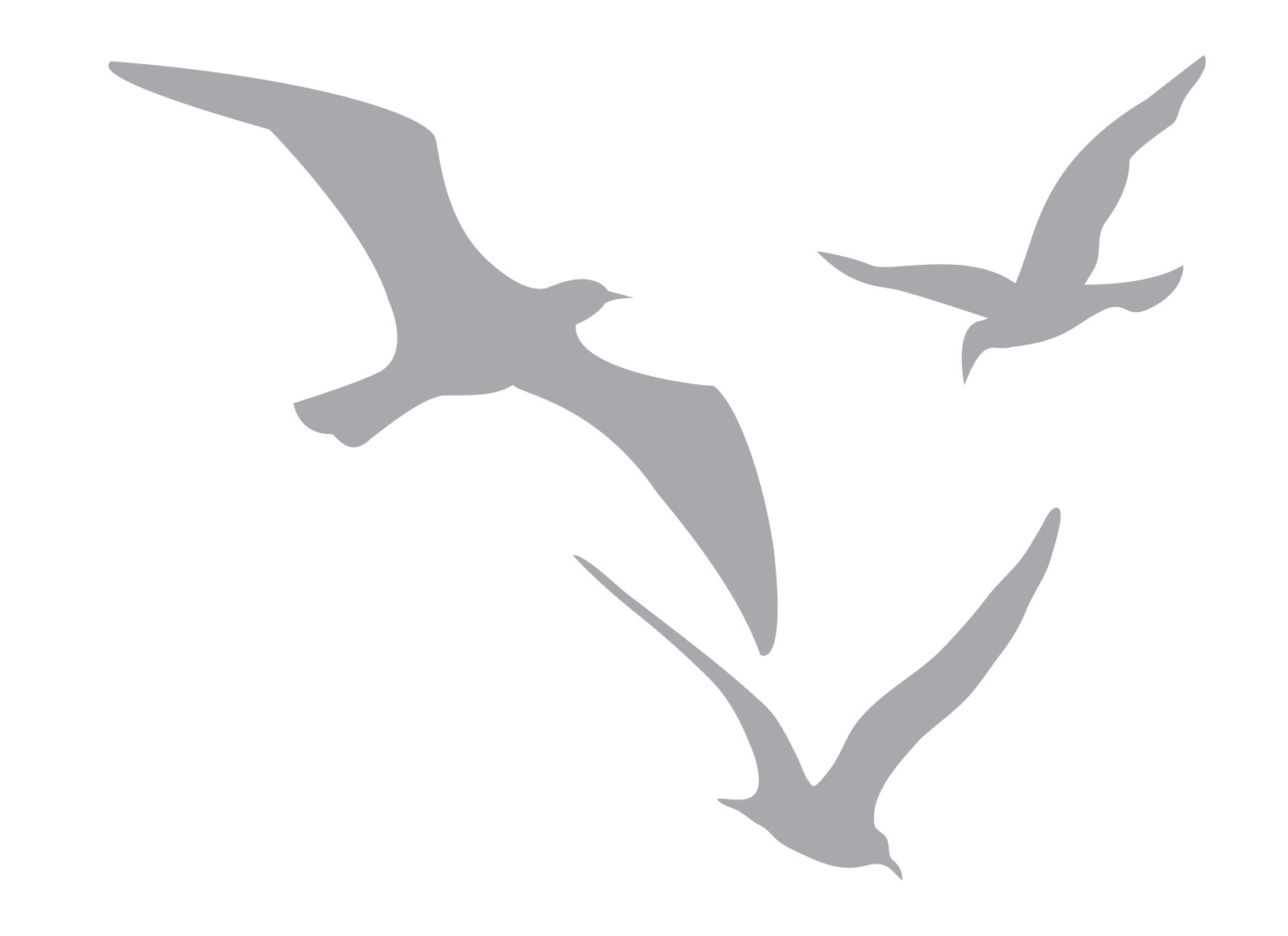 3 Sea Gulls 20" tall x 26.5" wide Etched Glass Decal – For Shower Doors Windows