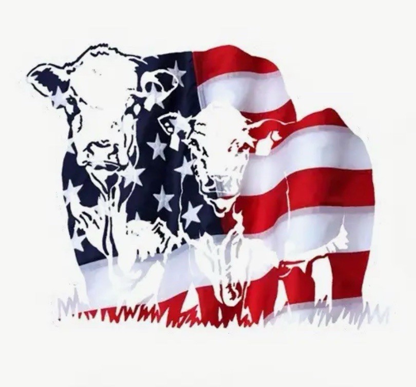 BEEF FARMER RANCH US FLAG 6” Inch Cow Bull Calf Cattle Steer Vinyl Decal Sticker
