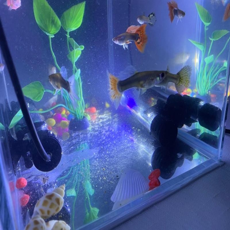 LED Aquarium Light USB Submersible Lamp 18–58cm Waterproof Fish Tank Grow