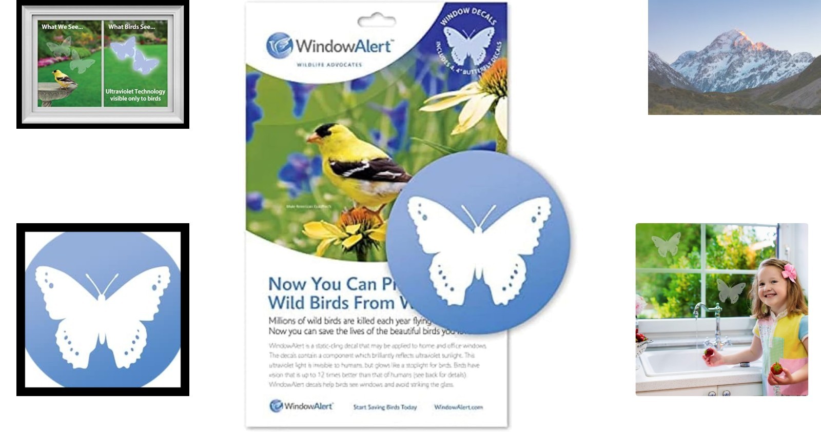 Semi-Transparent Butterfly Window Alerts – Eco-Friendly Bird Protection Decals