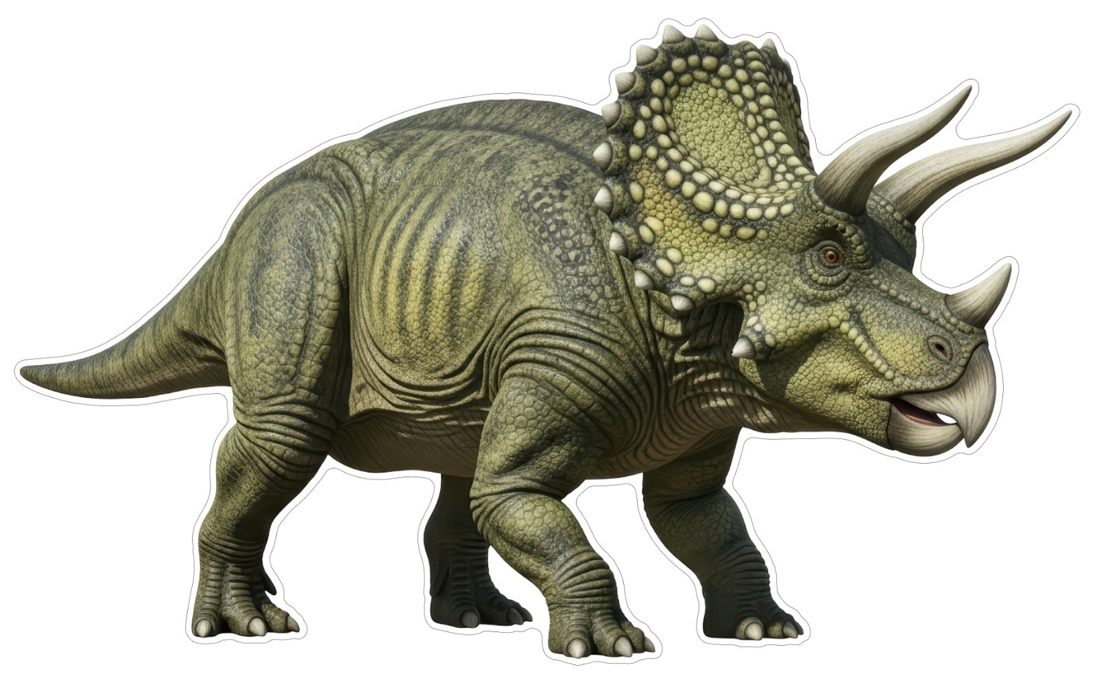 Triceratops Indoor Wall Vinyl Decal Sticker 5 – 84" Kids Room Decor Dinosaur