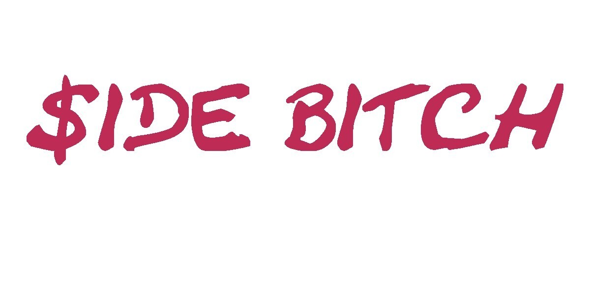 Side Bitch Vinyl Decal- Funny Bumper Sticker, $ide Bitch