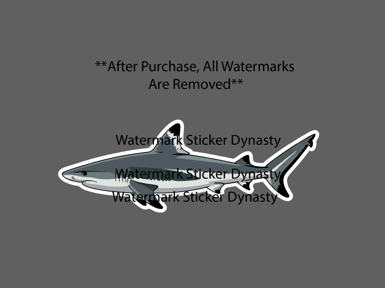 Black Tip Shark Sticker Waterproof Decal Animal Ocean Beach Wildlife Gift NEW
