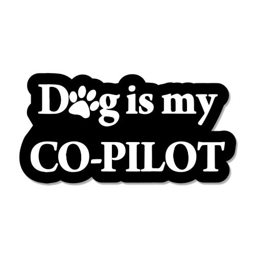 Dog Is My Co-Pilot Funny Pet Animal Love car bumper sticker decal 6" x 3"