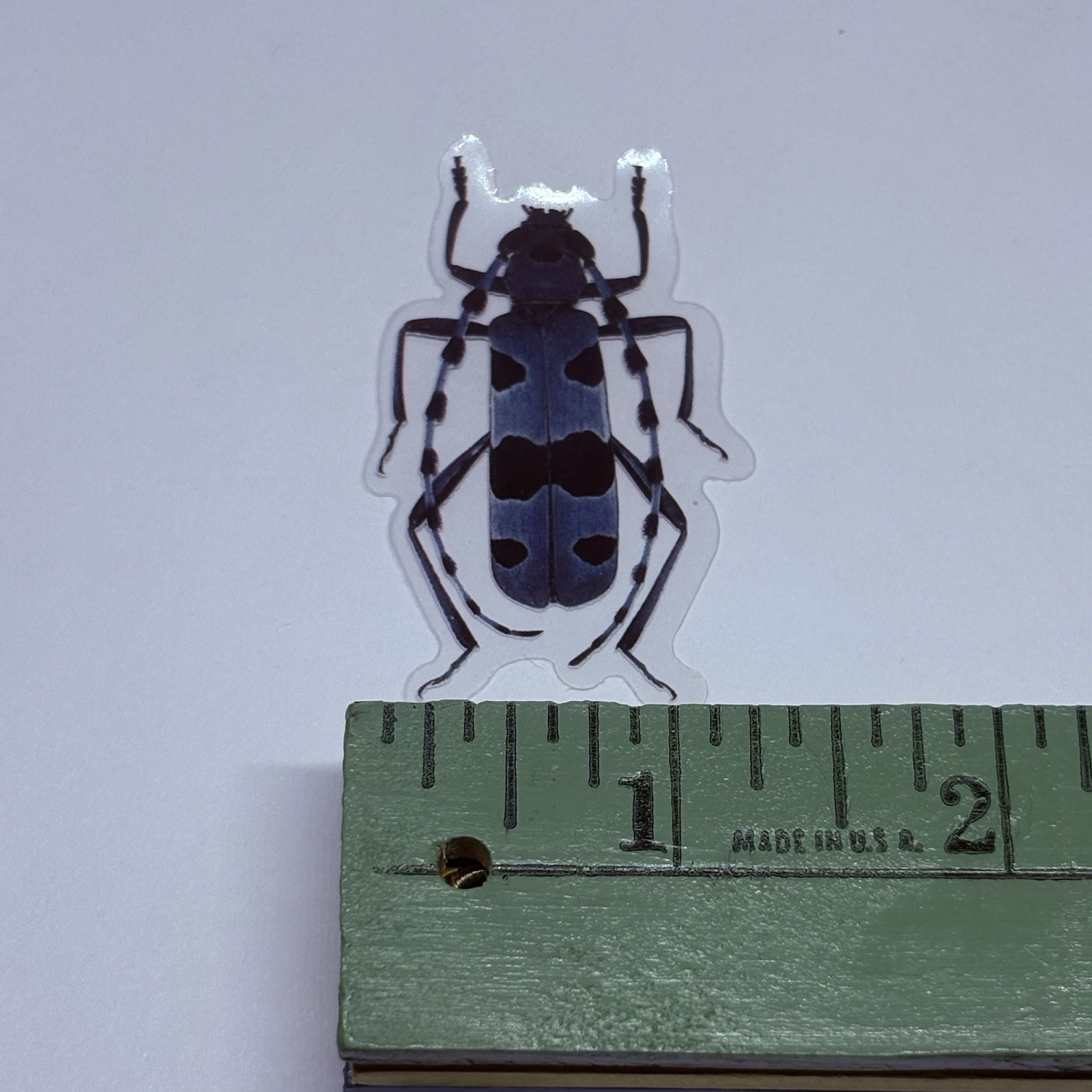 Rosalia Alpine Beetle Sticker Realistic Insect Art Transparent Decal Vinyl Tc9