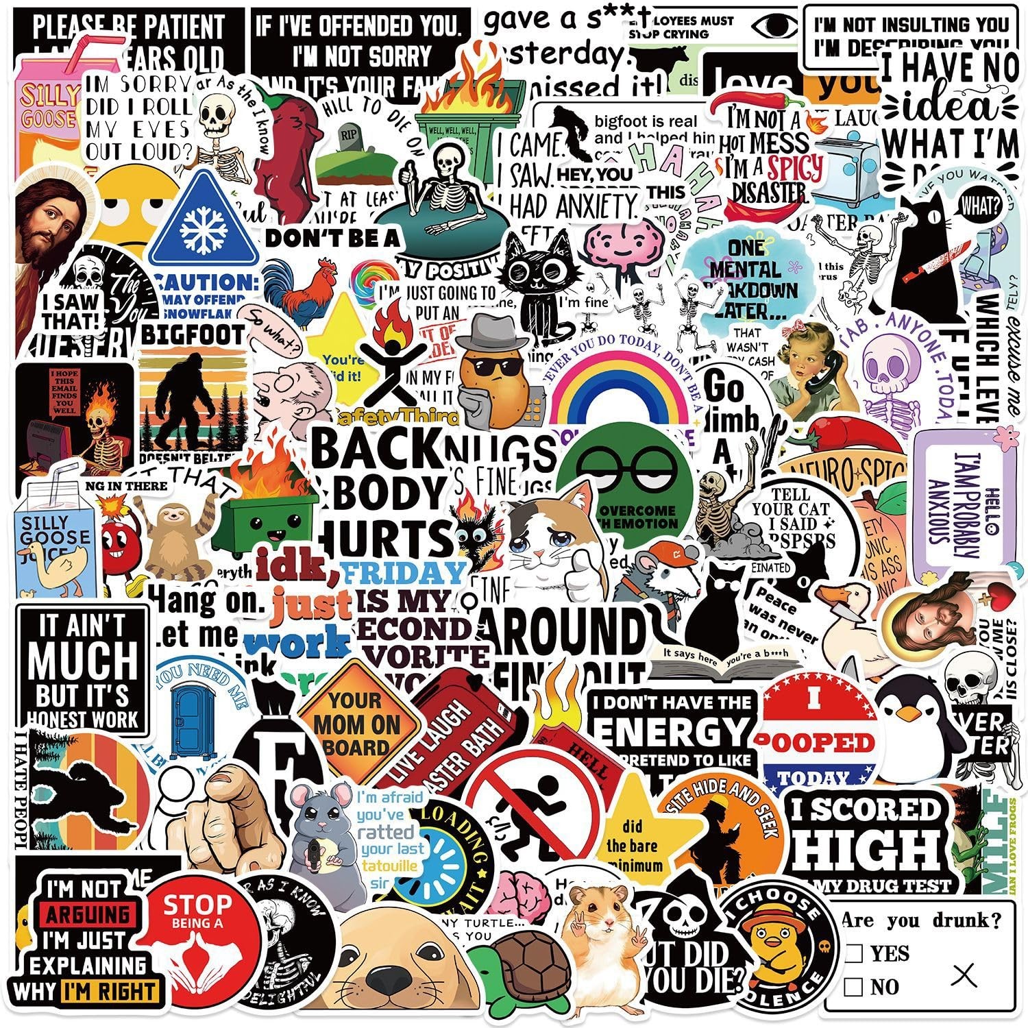 Funny Stickers for Adults 100 PCS Meme Dirty Hilarious Prank Stickers for Sale