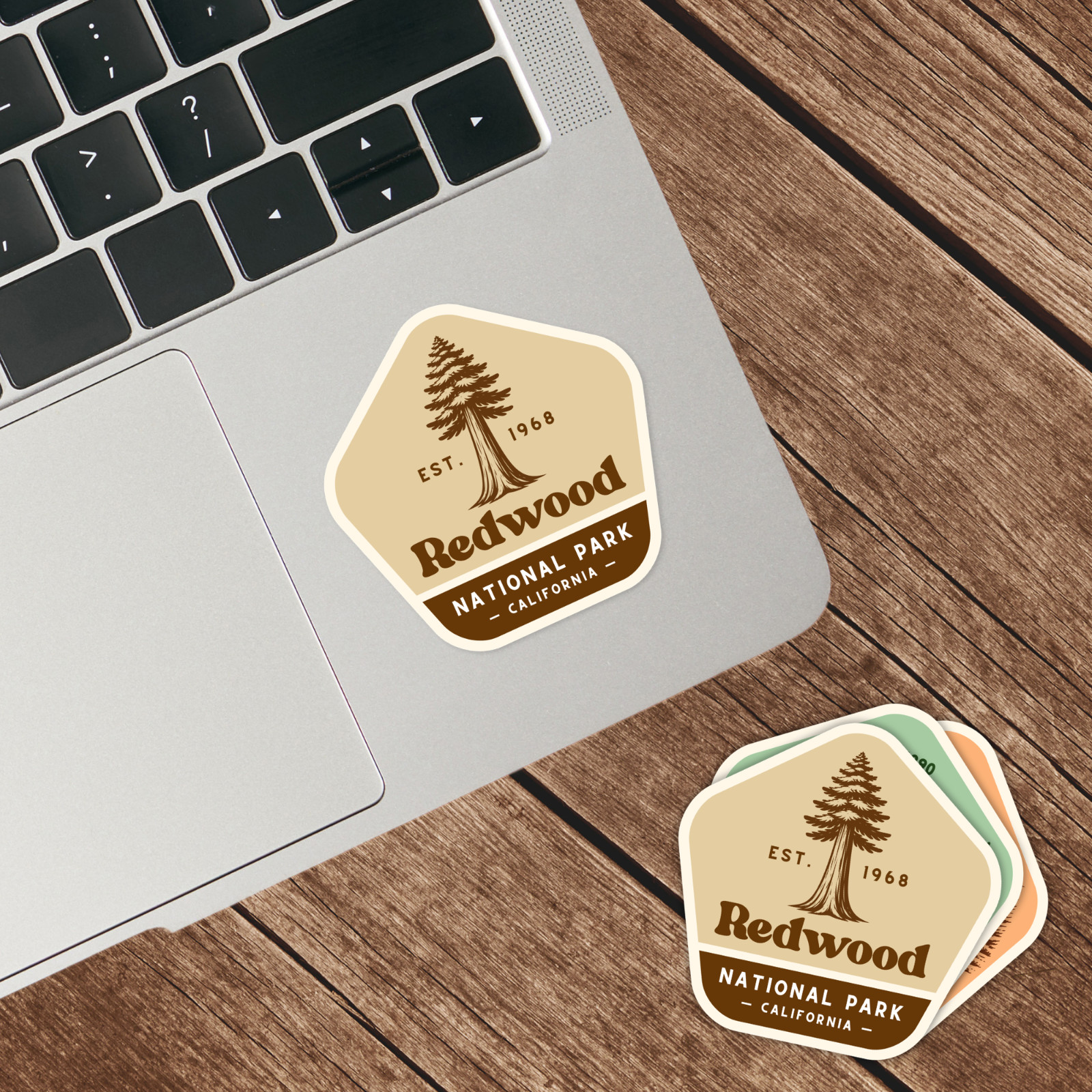Redwood National Park Sticker Retro California Travel Vinyl Decal Badge