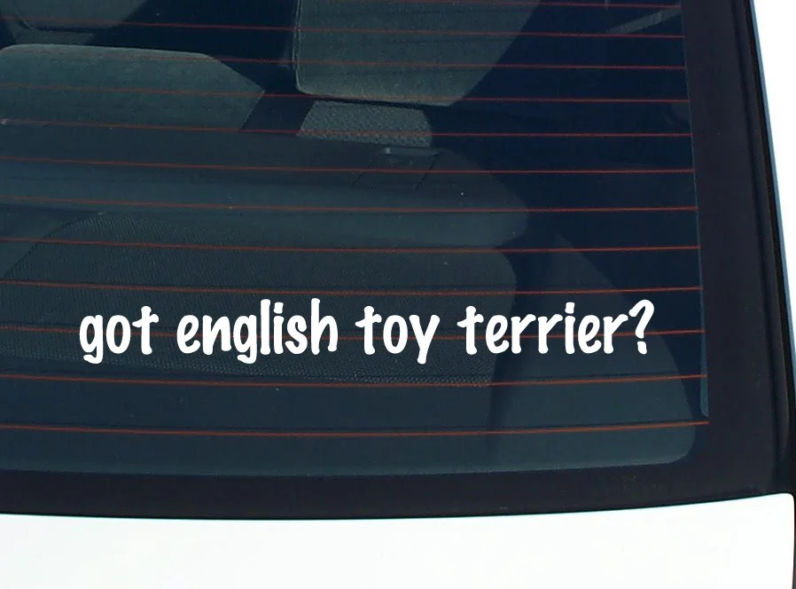 got english toy terrier? CAR DECAL BUMPER STICKER VINYL FUNNY JOKE WINDOW