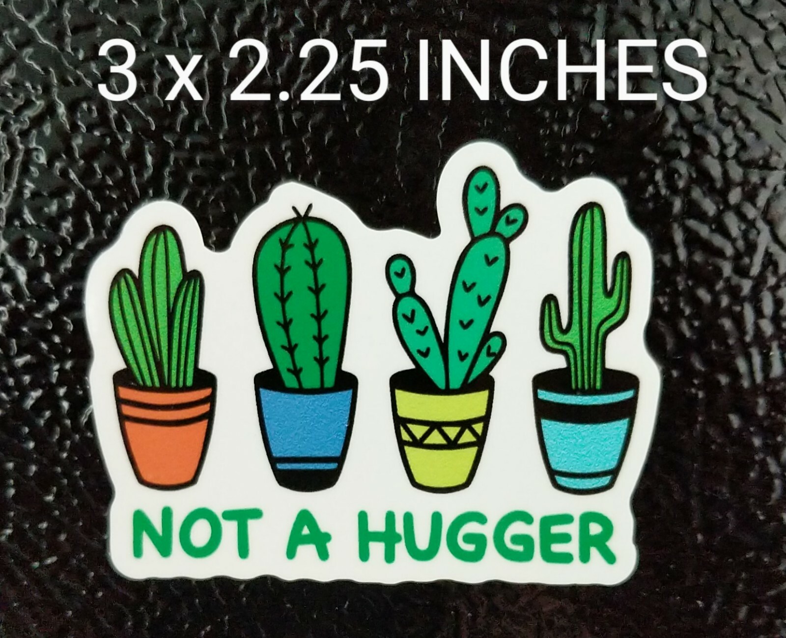 3" Not A Hugger Decal Cactus Succulent Vinyl Sticker No Hugs Prick Potted Plants