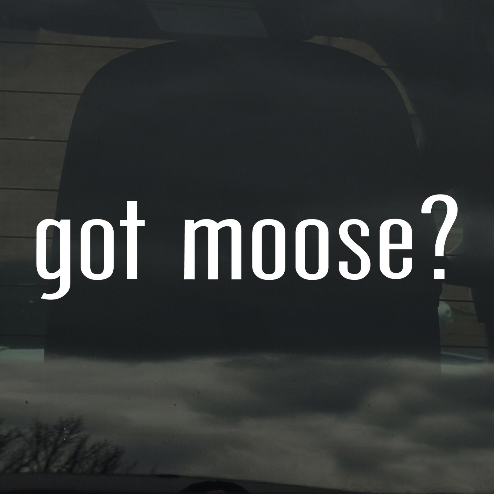 Got Moose? Custom Vinyl Sticker Decal Wildlife Hunting Antlers Bull Nature