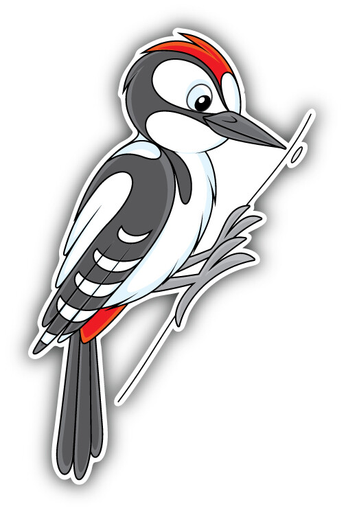 Woodpecker Bird Car Bumper Sticker Decal