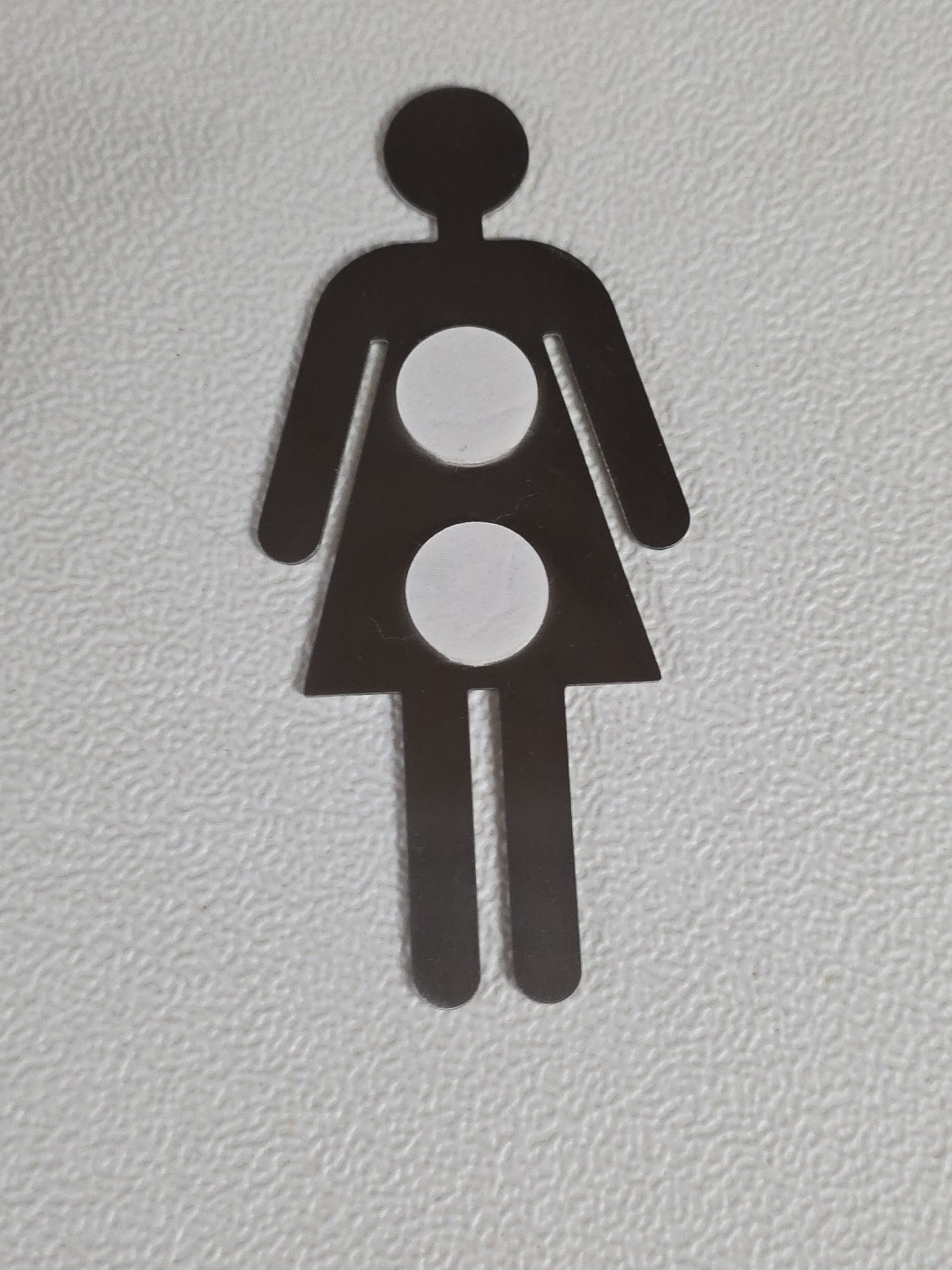 Female Restroom Sign Metal Stick On 2" x 4.25" Silver Tone Toilet Girls Bathroom