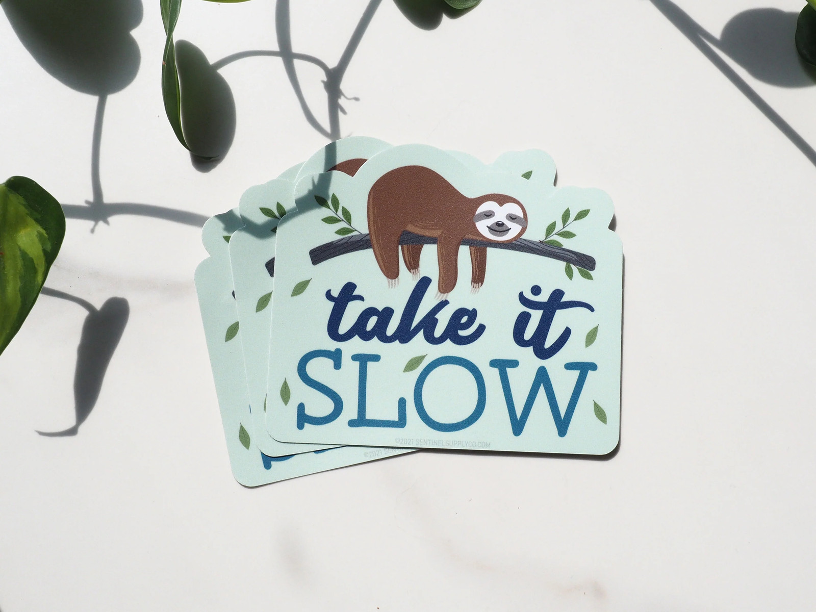 Take It Slow Sloth Sticker