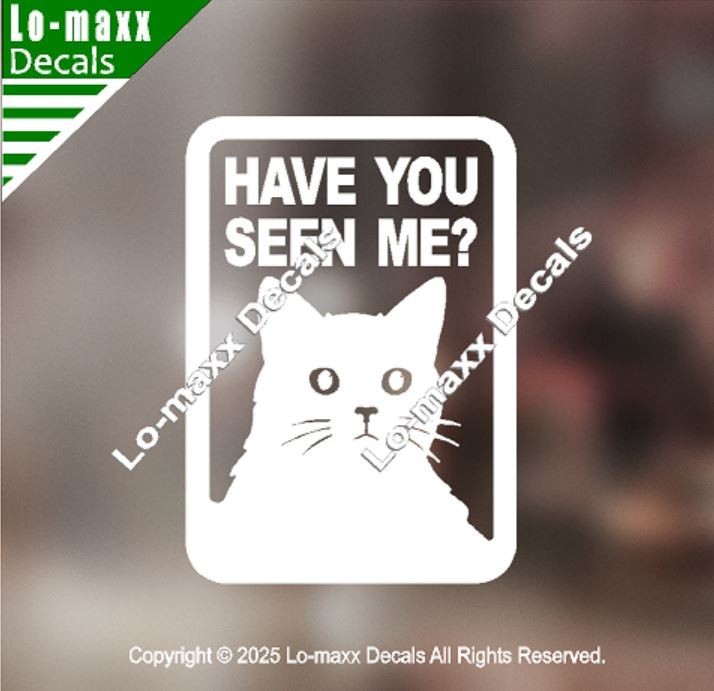 Have You Seen Me Lost Cat Sticker Art Funny Vinyl Decal For Laptop Door Locker