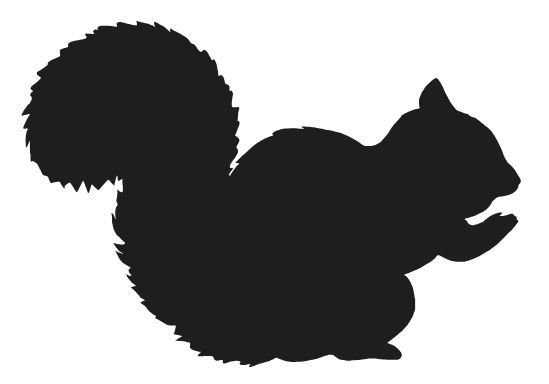 SQUIRREL VINYL STICKER DECAL TREE FUN CUTE GIRL ACORN CHOOSE COLOR