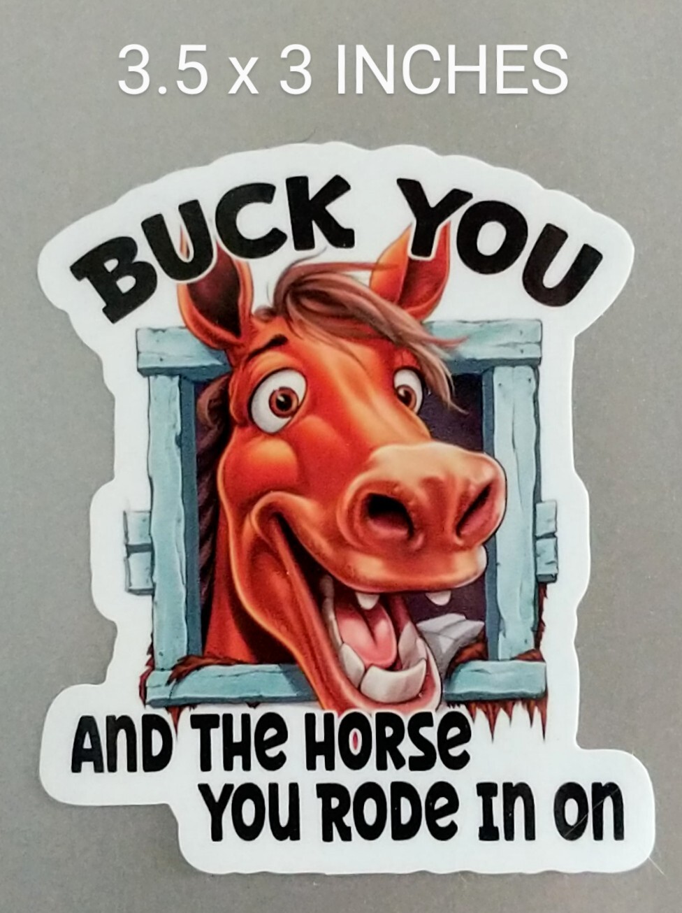 3.5" Buck You & Horse You Rode in On Decal Vinyl Sticker Equine Humor Funny Farm
