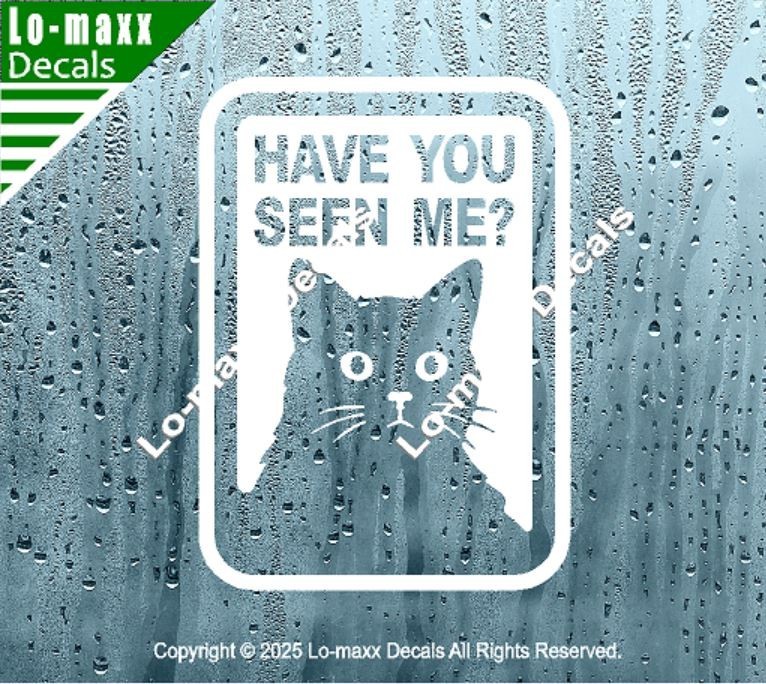 Have You Seen Me Lost Cat Sticker Art Funny Vinyl Decal For Laptop Door Locker