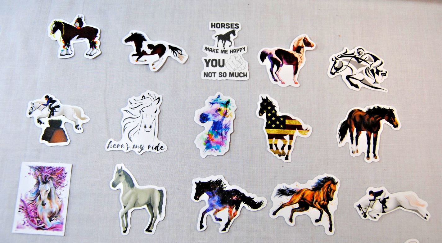 Horse Stickers for Laptop, Water Bottles Plus for Kids to Adults 200Pcs T2694