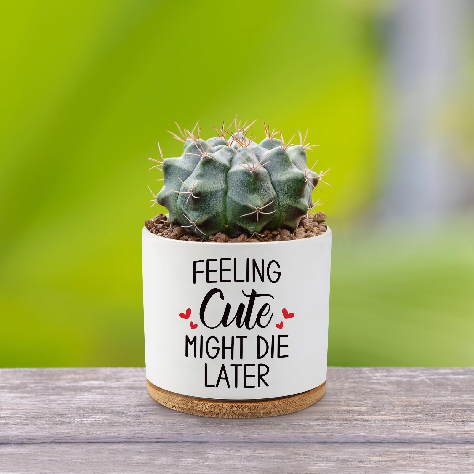 Feeling Cute Might Die Later,3.5 inch Ceramic Succulent Cactus Planter Pots,F…
