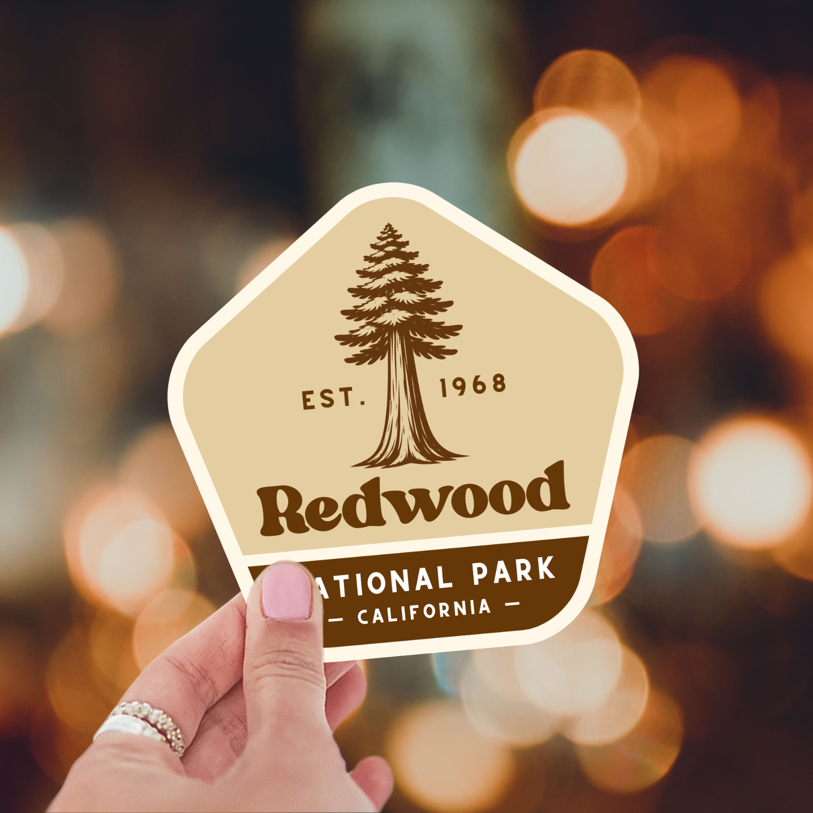 Redwood National Park Sticker Retro California Travel Vinyl Decal Badge