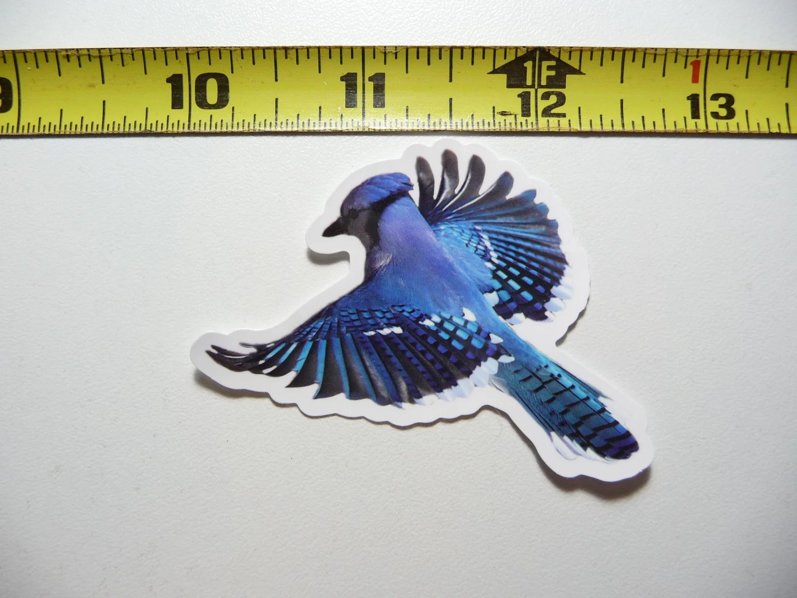 FLYING BLUEJAY BLUE JAY BIRD SMALL STICKER DECAL WILDLIFE PRESERVE NATURE ANIMAL