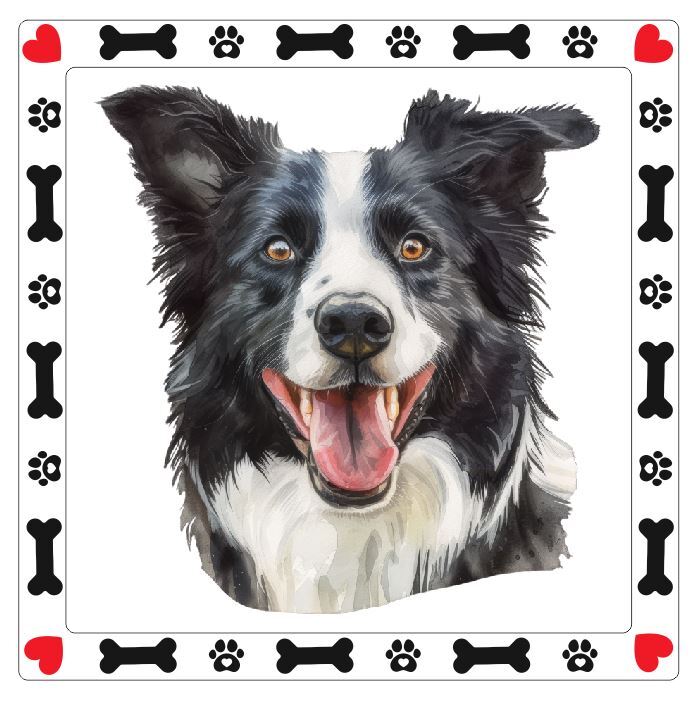 Border Collie Dog Sticker A663
