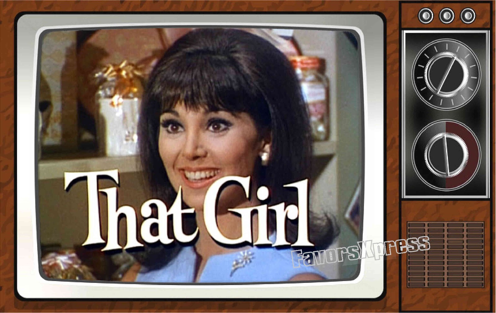 That Girl Classic TV Show PHOTO MAGNET 4 X 2.5 INCHES