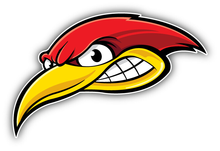 Woodpecker Head Car Bumper Sticker Decal