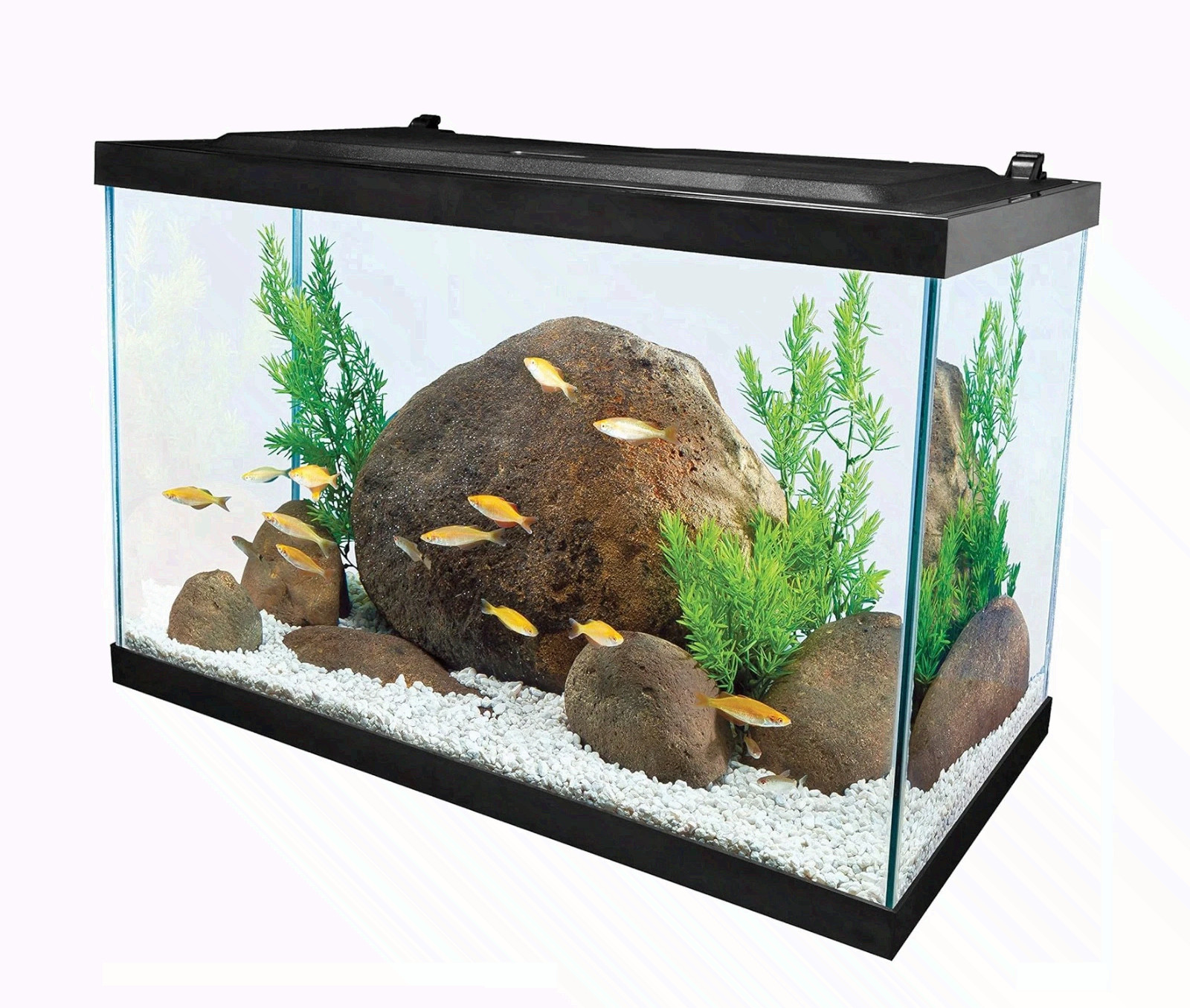 Tetra Glass Aquarium 20 Gallons, 20-gallon rectangular glass fish tank New from