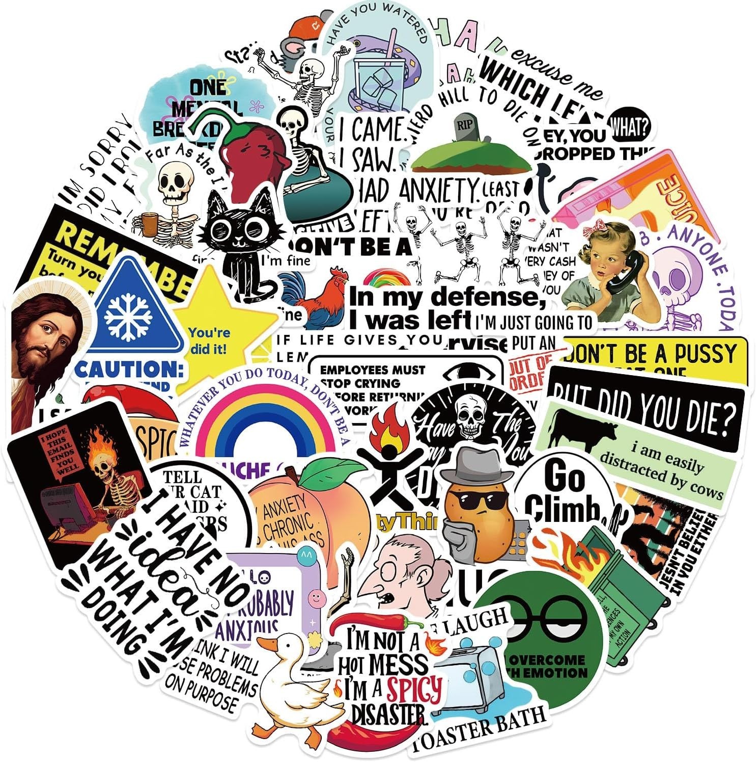 50PCS Funny Meme Stickers Adult Sarcastic Waterproof Vinyl Laptop Decals