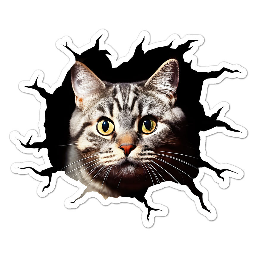 Cat Kitten Peeking Hole, Vinyl Decal Sticker, Indoor Outdoor, 3 Sizes, #11075