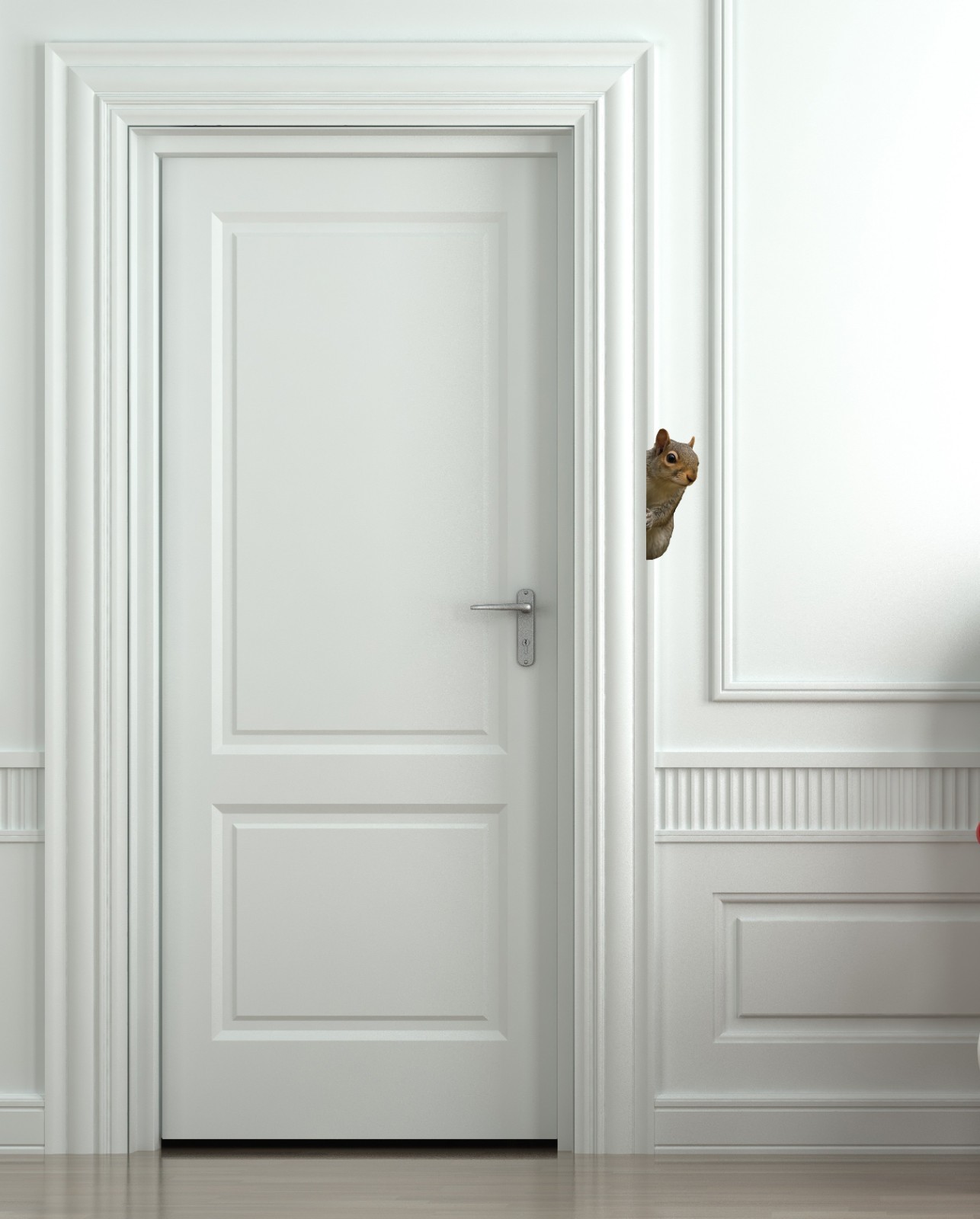 Squirrel Peeking Around Wall Decal – 2.5" wide x 6" tall