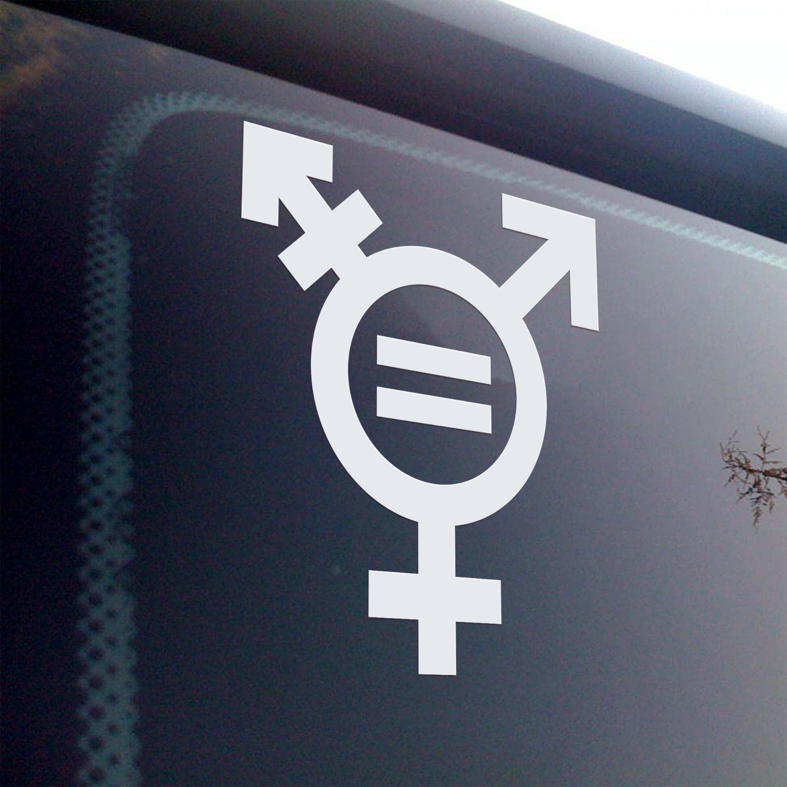 TRANSGENDER EQUALITY SYMBOL Vinyl Sticker – Gender Identity Icon – Die Cut Decal