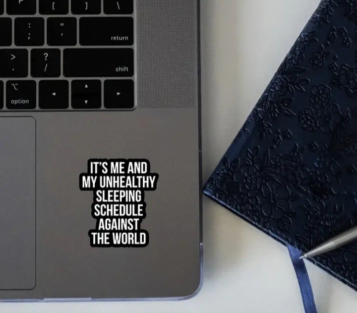 It's Me and My Unhealthy Sleeping Schedule Against the World Vinyl Decal
