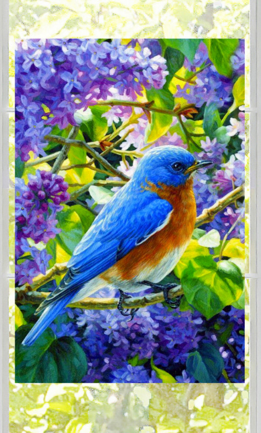Bluebird on Branch with Lilac Flowers WINDOW CLING Size 10.6" Vinyl