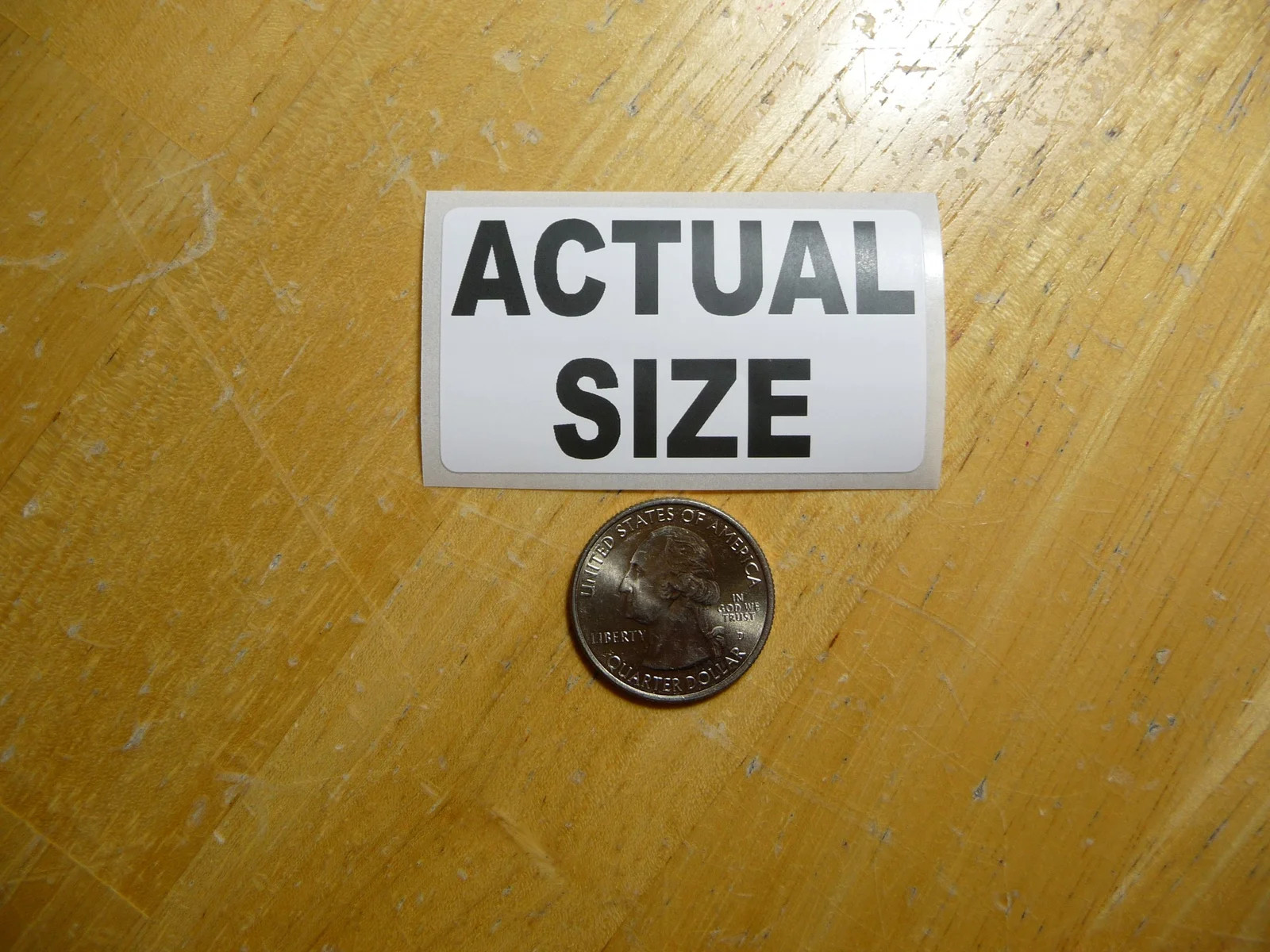 ACTUAL SIZE STICKER DECAL 1 – 50 BULK PACK FUNNY SMALL