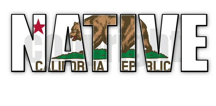 California Native Flag Stickers Flag Decals Vinyl Indoor Outdoor Stickers