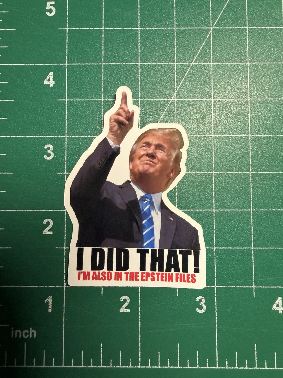 Trump “I DID THAT – I’M ALSO IN THE EPSTEIN FILES” Stickers -10pc- Decals