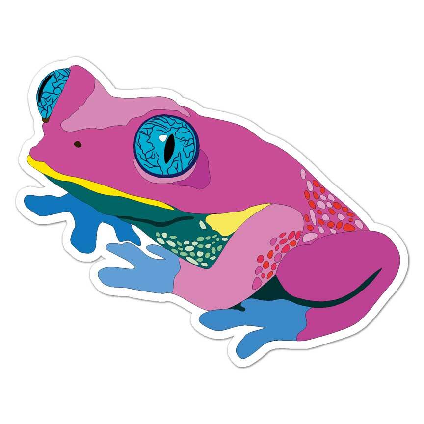 Frog Toad, Vinyl Decal Sticker, Indoor Outdoor, 3 Sizes, #8602