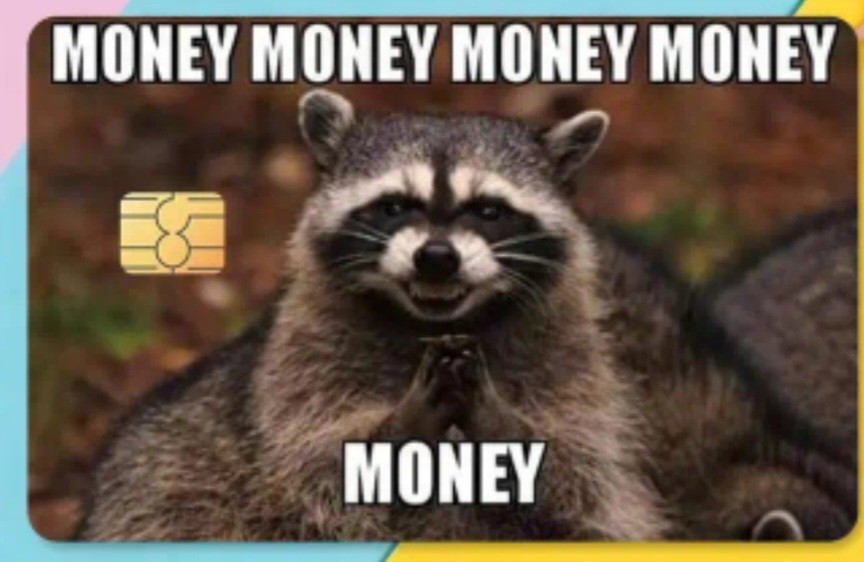 Money Money Money Humorous Raccoon Credit Debit Card Sticker Free Shipping