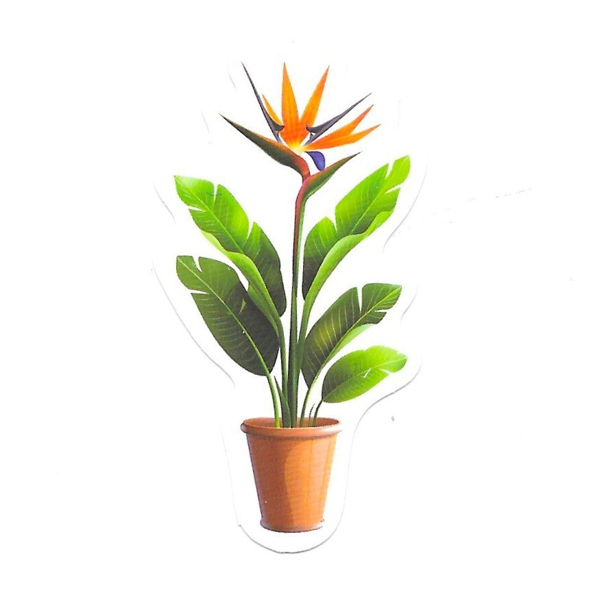 Vinyl Sticker Die Cut Bird of Paradise Decal Tropical Flower Houseplant Gift