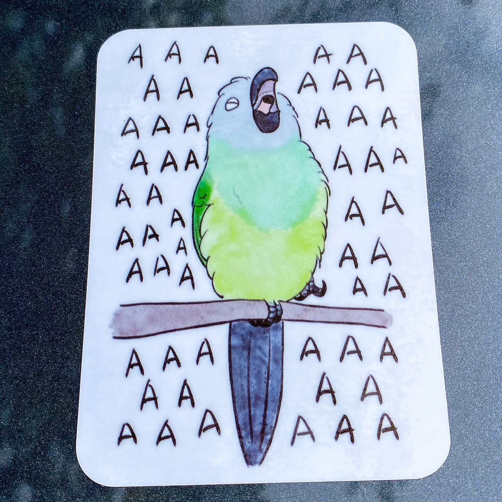 Dusky Conure Parrot CAR Sticker (screaming) Outdoor use / UV & Water Proof
