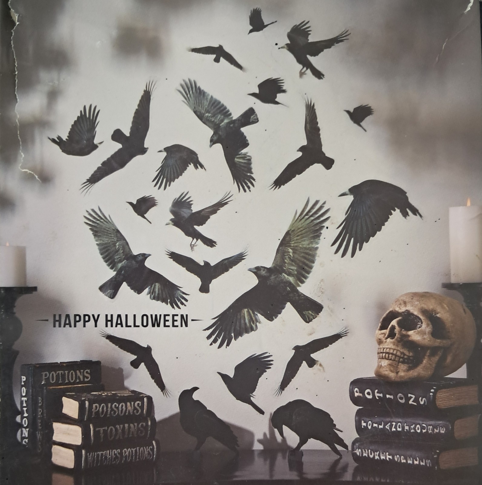 Happy Halloween Blackbirds Crows Wall Art Self-Adhesive Removable