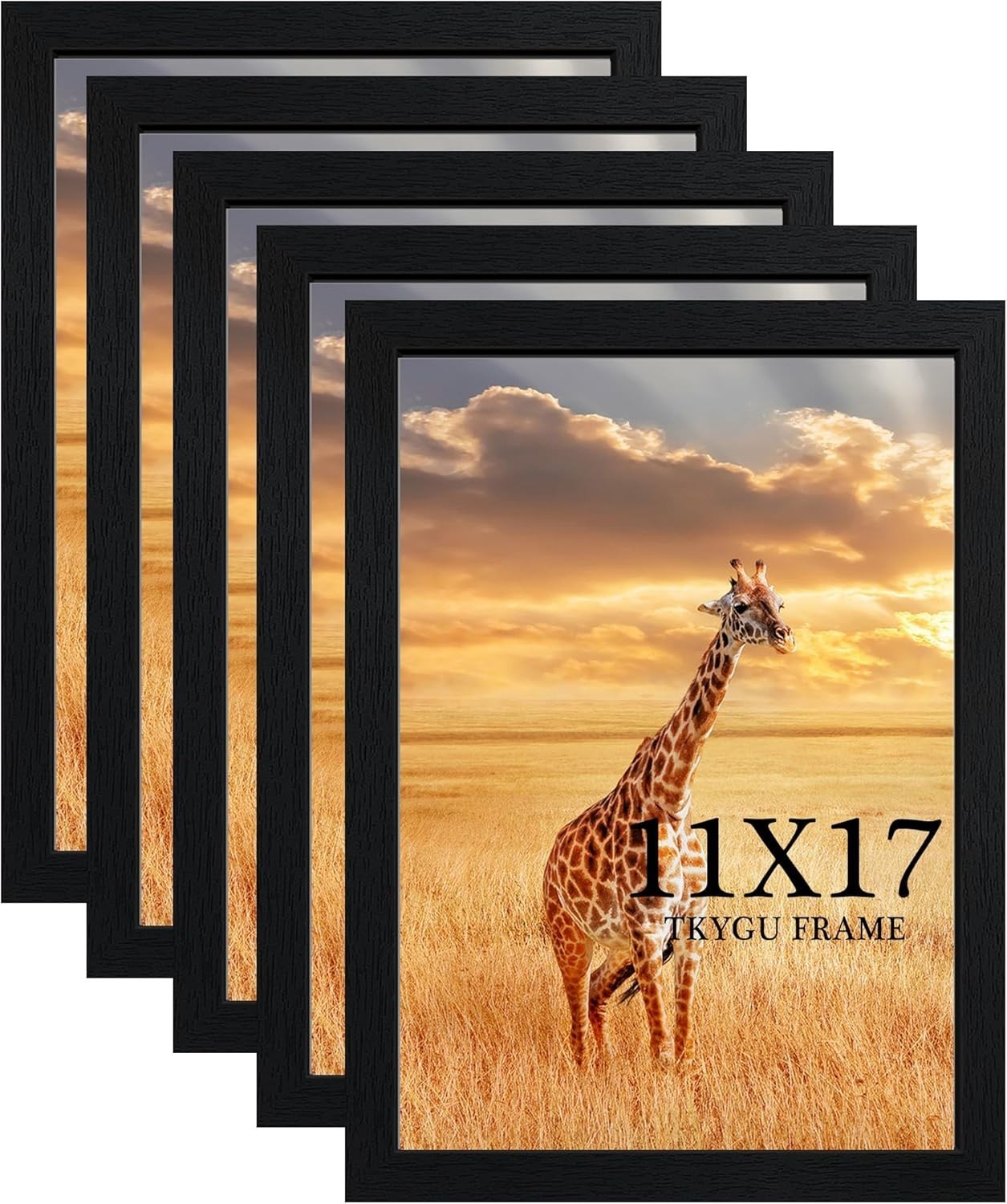 TKYGU FRAME 11×17 Picture Frame Set of 5 Black Wood Photo Poster Frames Wall Dec