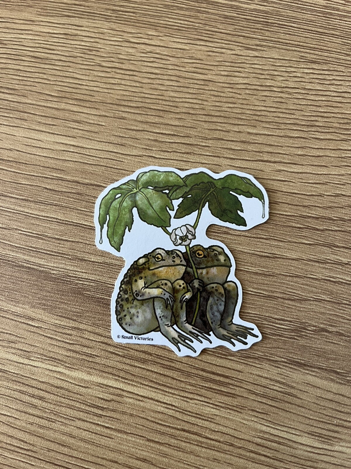 Cute Frogs Sticker, Nature Sticker