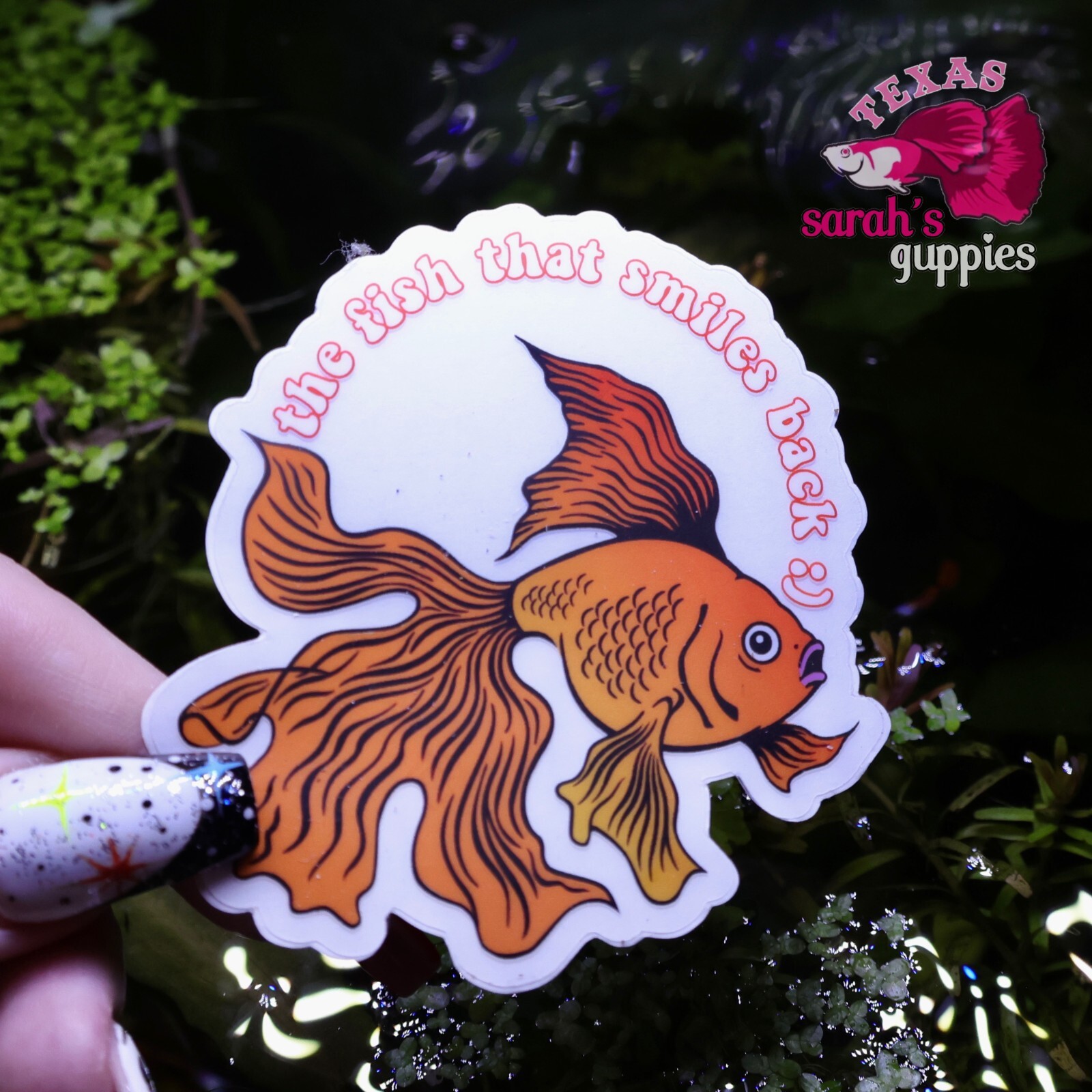 Goldfish Sticker: The Fish That Smiles Back🐠 Sarah's Guppies Homemade Designed