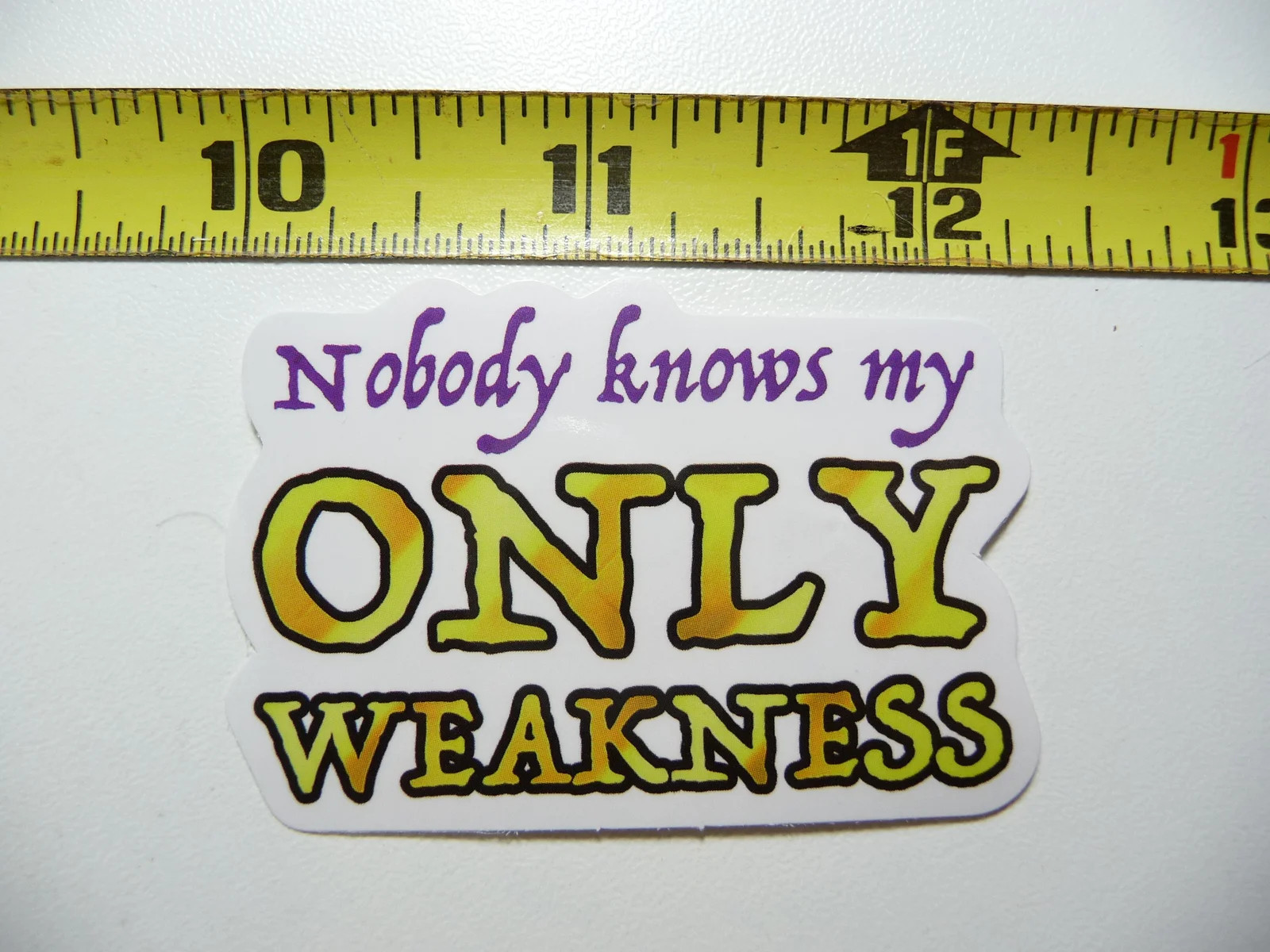 NOBODY KNOWS MY ONLY WEAKNESS SMALL STICKER DECAL FUNNY SARCASM SARCASTIC SAYING
