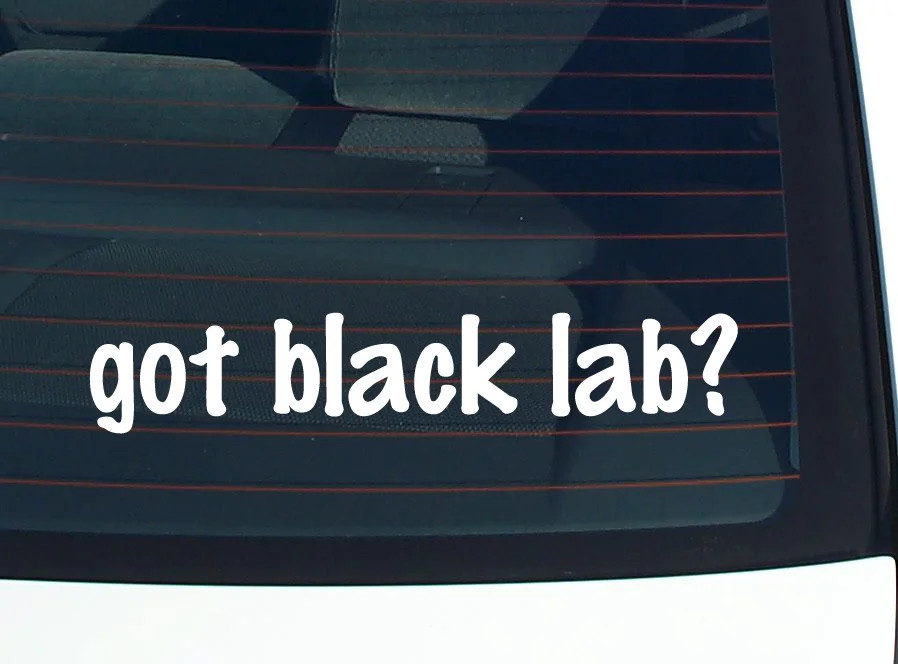 got black lab? CAR DECAL BUMPER STICKER VINYL FUNNY JOKE WINDOW