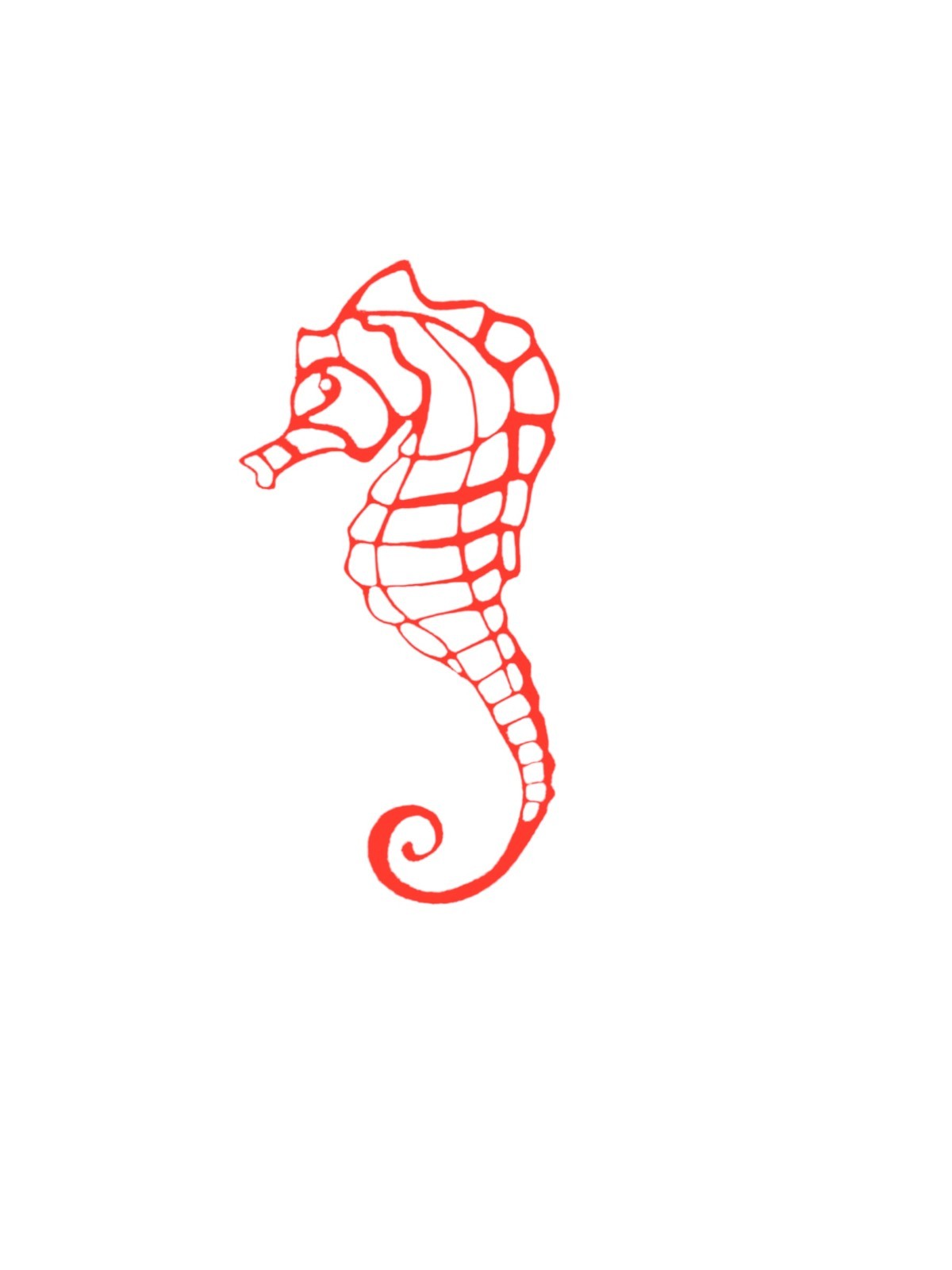 SEAHORSE Tropical Ocean Vinyl Decal Car Jeep Truck Bumper Wall Home